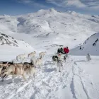 Business 16 image THE CURIOUS TRAVEL COMPANY Travel & Tourism in Leeds We