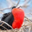 Business 21 image THE CURIOUS TRAVEL COMPANY Travel & Tourism in Leeds We