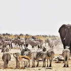 Business 28 image THE CURIOUS TRAVEL COMPANY Travel & Tourism in Leeds We