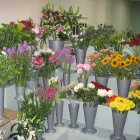 Business 3 image THE DAISY CHAIN (DUNSTABLE) LTD, Florists in Dunstable Be