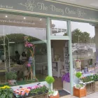 Business 1 image THE DAISY CHAIN (DUNSTABLE) LTD, Florists in Dunstable Be