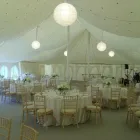 Business 1 image THE DESIGN FOR ME Printers' Services in Aylesford Ke