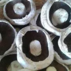 Business 5 image THE FISH POND Takeaway Food in Batley We