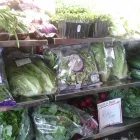 Business 6 image THE FISH POND Takeaway Food in Batley We