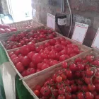 Business 2 image THE FISH POND Takeaway Food in Batley We