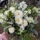 Business 10 image THE GREEN FLORIST Wedding Supplies in Norton Is