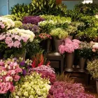 Business 11 image THE GREEN FLORIST Wedding Supplies in Norton Is