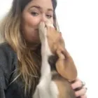 Business 27 image THE HOUND HOUSE Pets & Animals in Manchester Gr