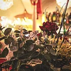 Business 20 image THE JEWEL IN THE CROWN Tea Rooms in Swindon Wi