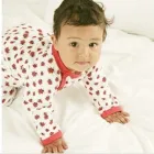 Business 13 image THE KINGS ARMS Pub Restaurants in Coalville Le