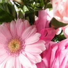 Business 16 image THE KINGS ARMS Pub Restaurants in Coalville Le