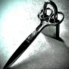 Business 2 image THE LOST HAIR CO Hairdressers in Exeter De