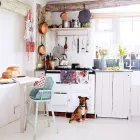 Business 145 image THE MIDLANDS PET NANNY Pets & Animals in Coalville Le