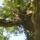 Business 3 image THE SHOE STUDIO Shoe Shops in Plymouth De