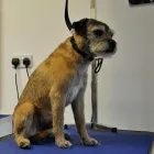 Business 1 image THURSBY SURGERY Doctors (medical Practitioners) in Burnley La