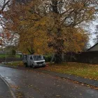 Business 8 image TIBBS TREE SURGEONS Tree Services in Radstock So