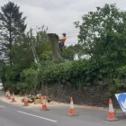 Business 11 image TIBBS TREE SURGEONS Tree Services in Radstock So