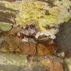 Business 9 image TIMBERWISE - THE PROPERTY CARE EXPERTS Damp Proofing & Control in Bristol Av