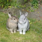 Business 3 image TIMPSON LTD Shoe Repairs in Burnley La