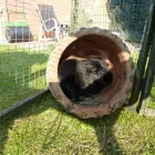 Business 4 image TIMPSON LTD Shoe Repairs in Burnley La