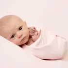 Business 2 image TOLAND PHOTOGRAPHY LTD Wedding Services in Stoke-On-Trent Sts