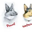 Business 1 image TOP WOK Takeaway Food in Southport Me