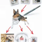 Business 2 image TOP WOK Takeaway Food in Southport Me