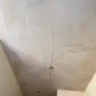 Business 9 image TOTALLY PLASTERED & CO.LTD Plumbers in Sheffield So