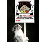 Business 3 image TOWN & COUNTRY CARPETS Carpets & Rugs - Retail & Repair in SALE Ch