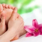 Business 2 image TRANQUILITY TREE Reflexologists in Oakley Ha