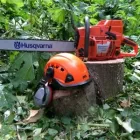 Business 2 image TREE PRO LTD Tree Services in Lenham Ke