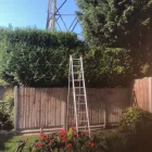 Business 34 image TREES & ALL THINGS GREEN Tree Services in Nottingham No