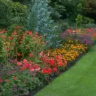 Business 75 image TREES & ALL THINGS GREEN Tree Services in Nottingham No