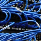 Business 1 image TVNET LIMITED Telecommunications Contractors in Kingswood Av
