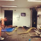Business 2 image TY PAUL PERSONAL TRAINER BRIGHTON Sports Therapists in Hove Ea