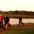 Business 2 image VALE GOOD COMPANION DOG TRAINING Dog Training in Stockton-On-Tees Cl