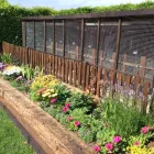 Business 5 image VALLEY VIEW CATTERY Pets & Animals in Worthing We