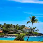 Business 16 image VAN DER VACATIONS Youth Organisations, Centres & Clubs in Luton Be