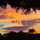 Business 21 image VAN DER VACATIONS Youth Organisations, Centres & Clubs in Luton Be