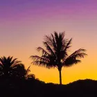 Business 28 image VAN DER VACATIONS Youth Organisations, Centres & Clubs in Luton Be