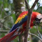 Business 52 image VAN DER VACATIONS Youth Organisations, Centres & Clubs in Luton Be