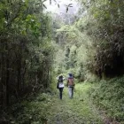 Business 54 image VAN DER VACATIONS Youth Organisations, Centres & Clubs in Luton Be