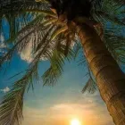 Business 57 image VAN DER VACATIONS Youth Organisations, Centres & Clubs in Luton Be