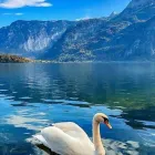 Business 67 image VAN DER VACATIONS Youth Organisations, Centres & Clubs in Luton Be