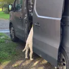 Business 2 image VANTAGE - ELECTRICAL LTD Home Appliances Installation & Repair in Chessington Su