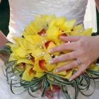 Business 10 image VC MOTOR REPAIRS Garage Services in Ripley De