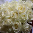 Business 4 image VERTIGO SOLUTIONS LTD Computer Services in Preston La