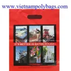 Business 65 image VIETNAM PACKAGING PRODUCTION & IMPORT EXPORT JSC Plastics & Rubber in Doncaster So