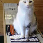 Business 6 image VINTAGE VIOLET HAIR & BEAUTY Hairdressers in Motherwell La