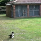 Business 9 image VINTAGE VIOLET HAIR & BEAUTY Hairdressers in Motherwell La